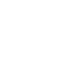Mitglieder-Badge der DJ-Allianz